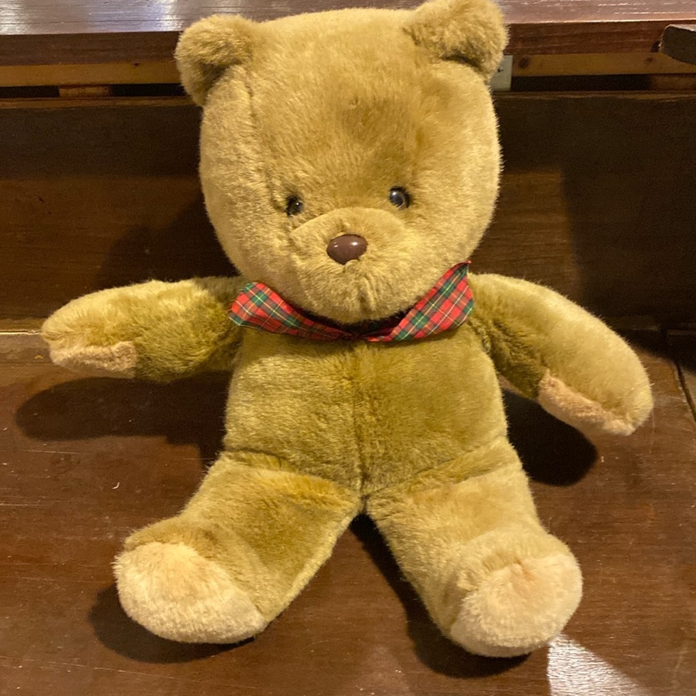 Stuffed Bear
